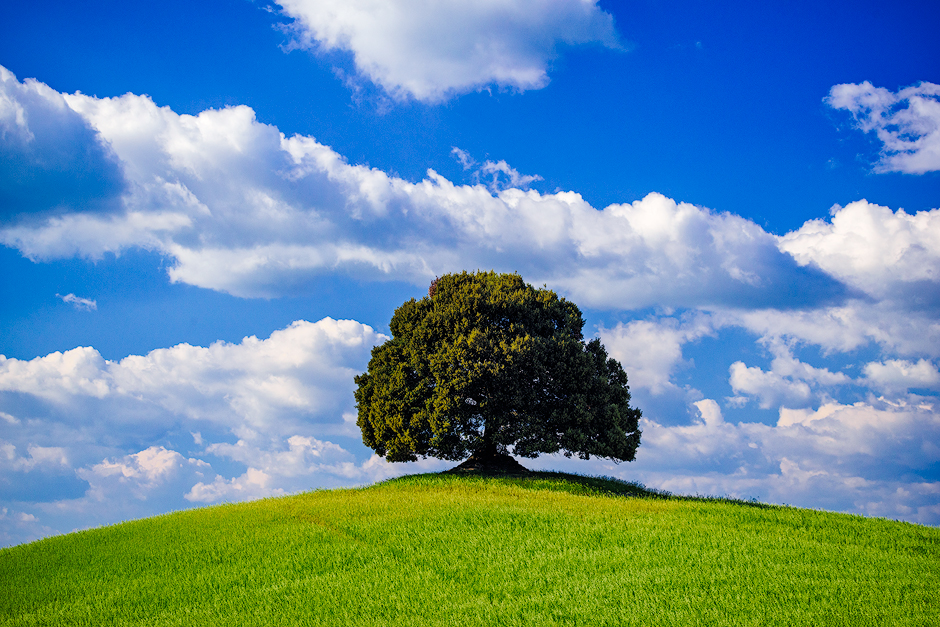 シェアワークの特徴
